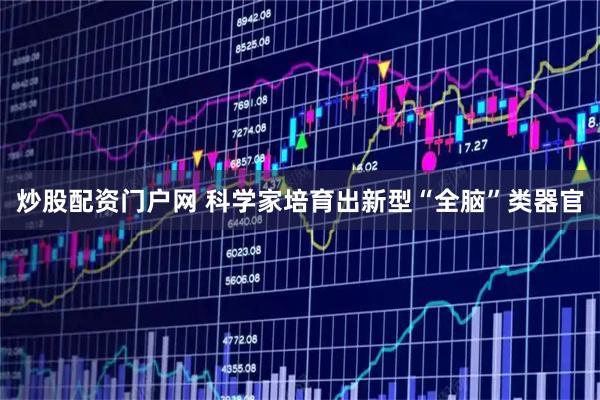 炒股配资门户网 科学家培育出新型“全脑”类器官